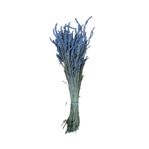 Heritage Herb Whisk Lavender