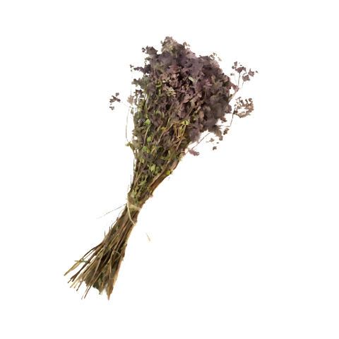 Heritage oregano herb whisk bundle for aromatic sauna sessions