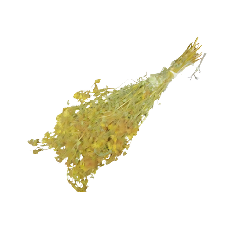 St. John’s Wort sauna whisk side view with dried yellow flowers